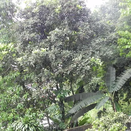Aconchego Serra Imperial -201 Petropolis  Exterior photo